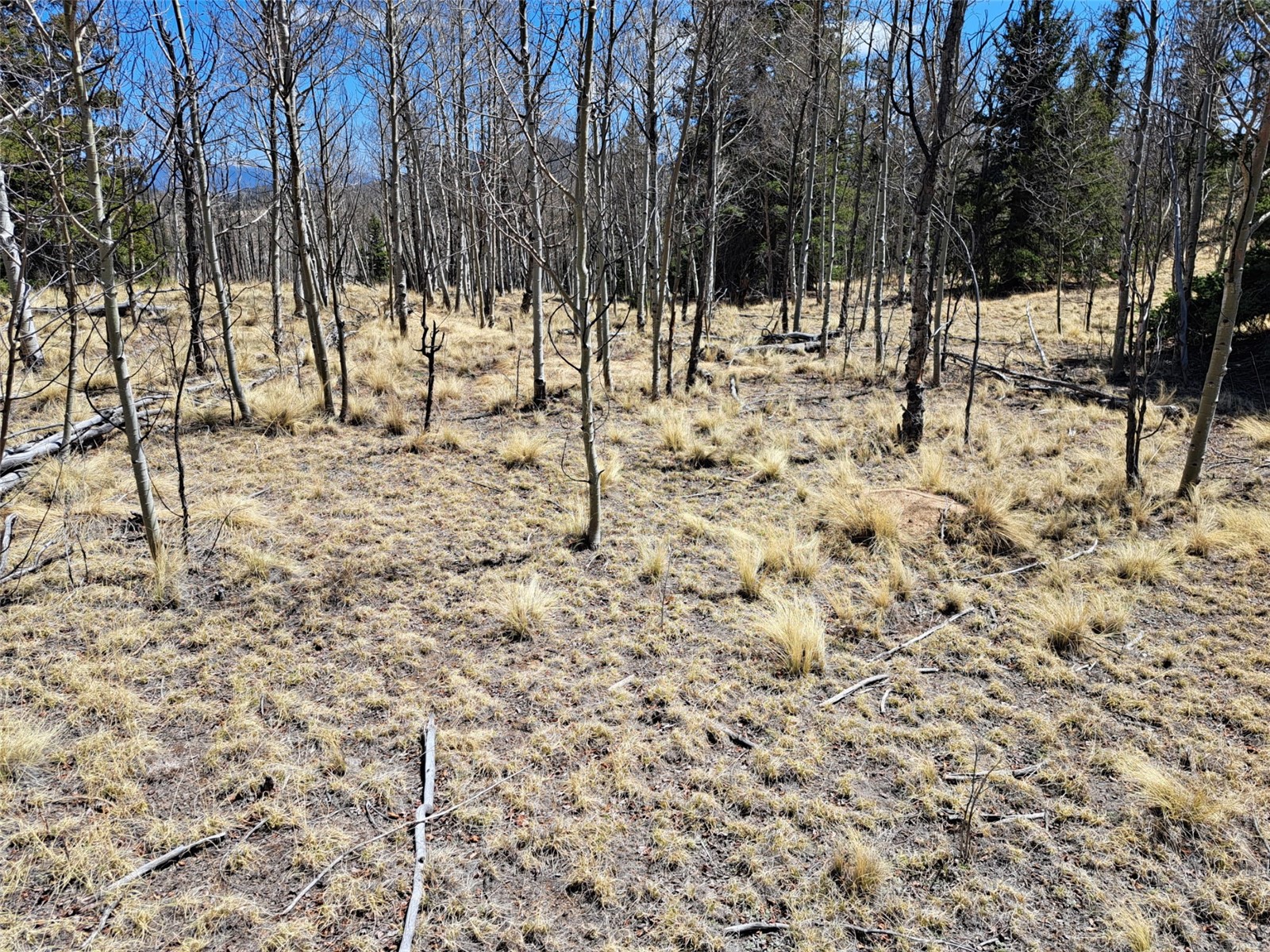 730 Tepee Trail Como CO 80432