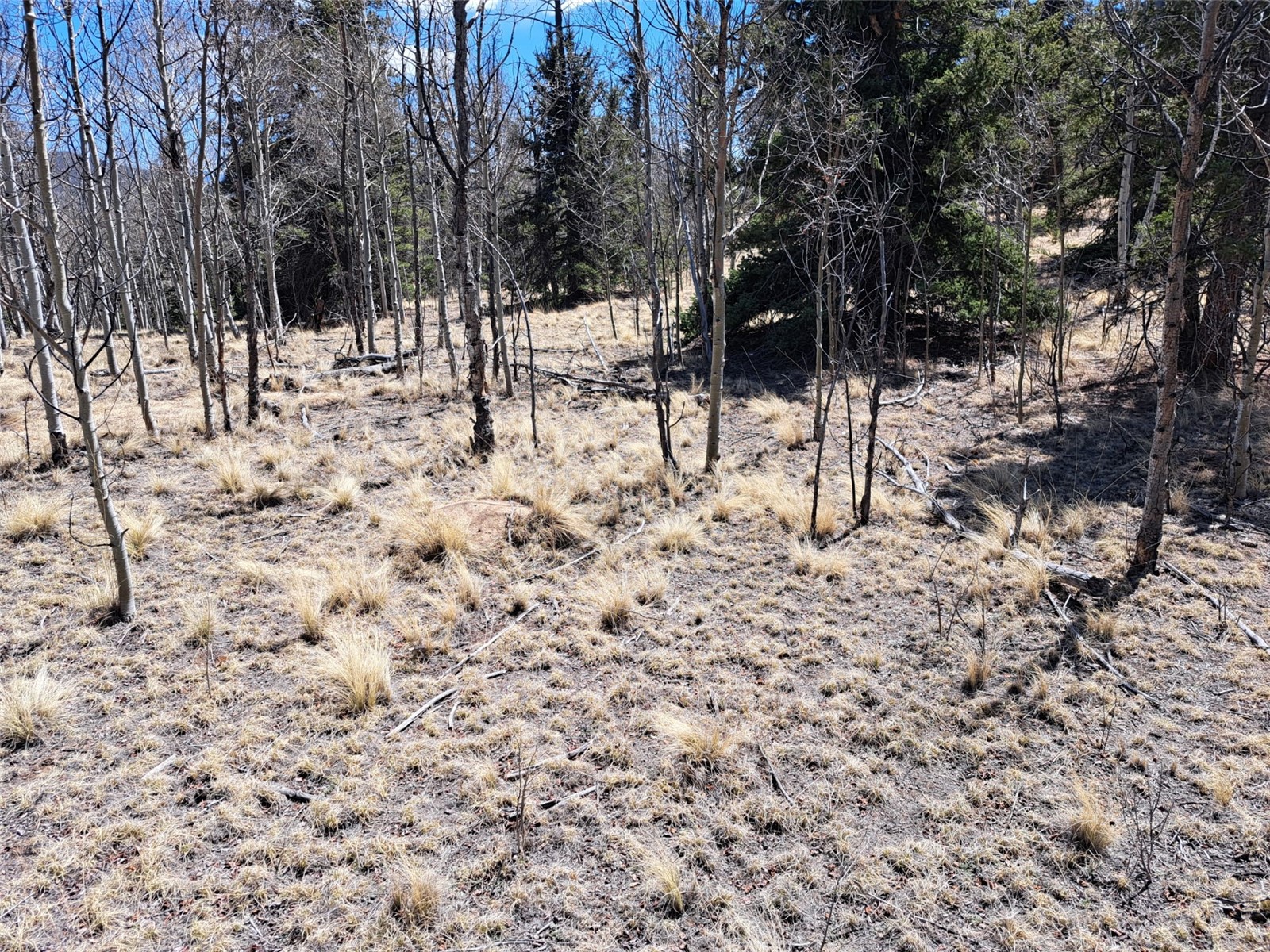 730 Tepee Trail Como CO 80432