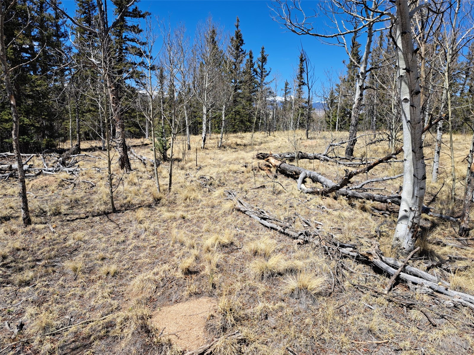 730 Tepee Trail Como CO 80432