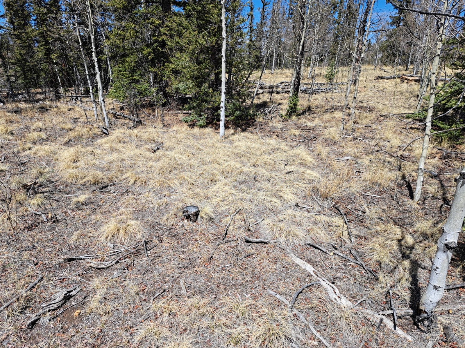 730 Tepee Trail Como CO 80432