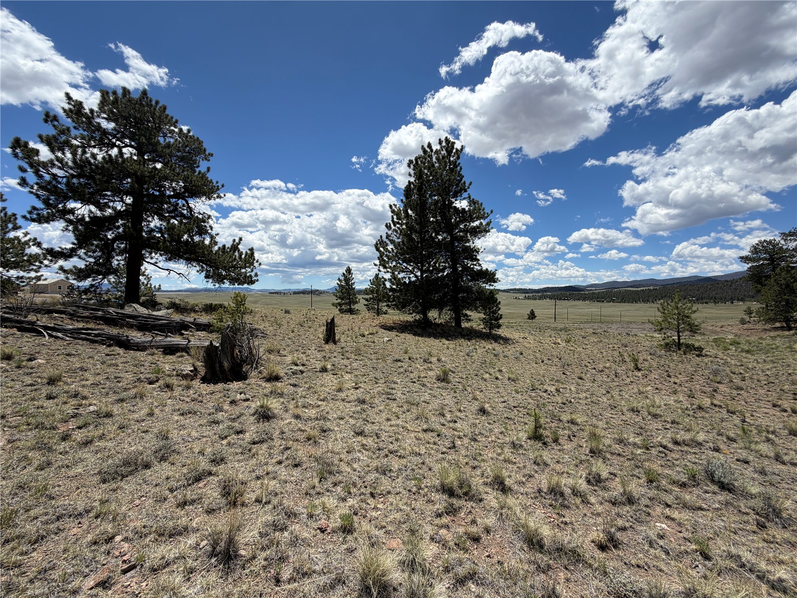 595 Bridle Path Hartsel CO 80449