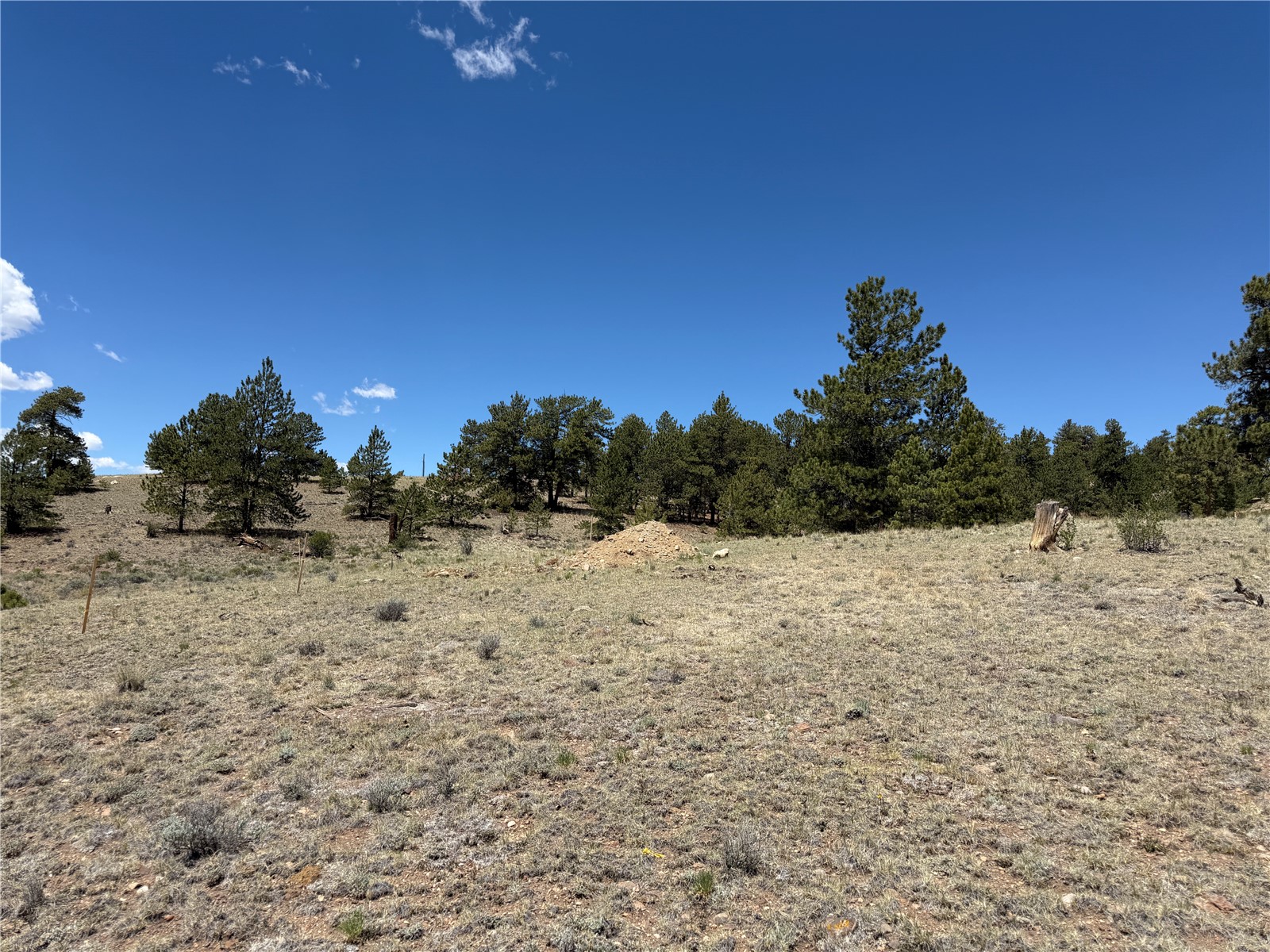 595 Bridle Path Hartsel CO 80449