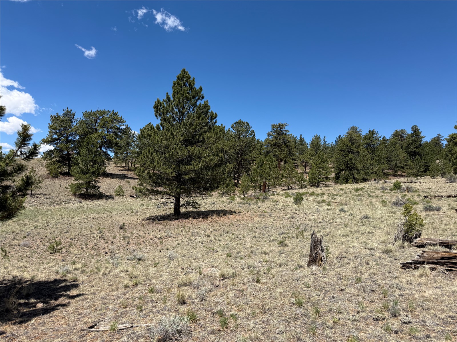 595 Bridle Path Hartsel CO 80449