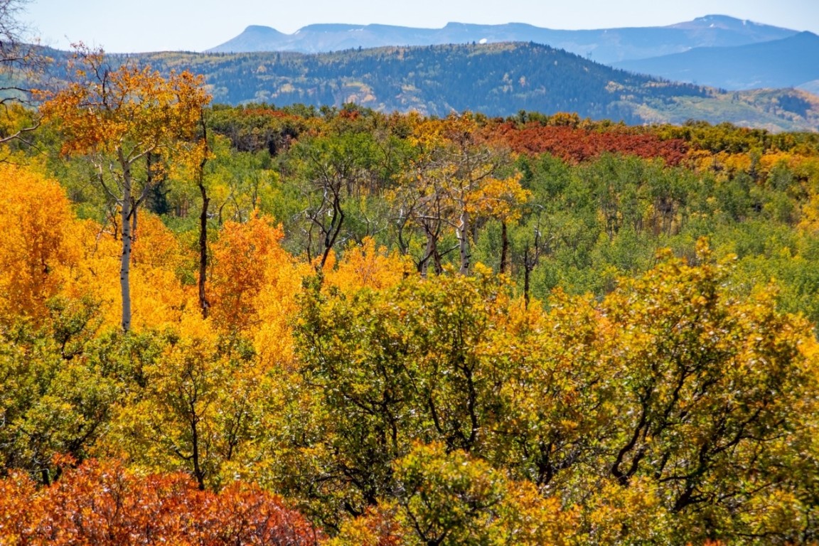27185 Sundance Trail Steamboat Springs CO 80487
