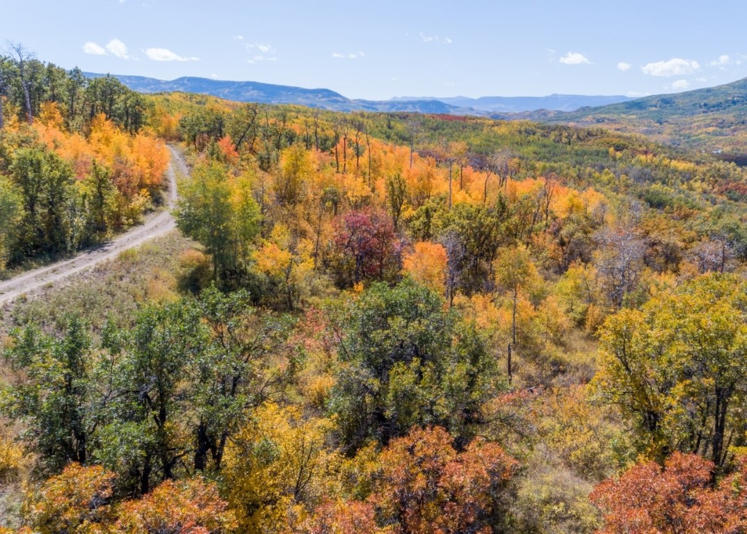 27185 Sundance Trail Steamboat Springs CO 80487