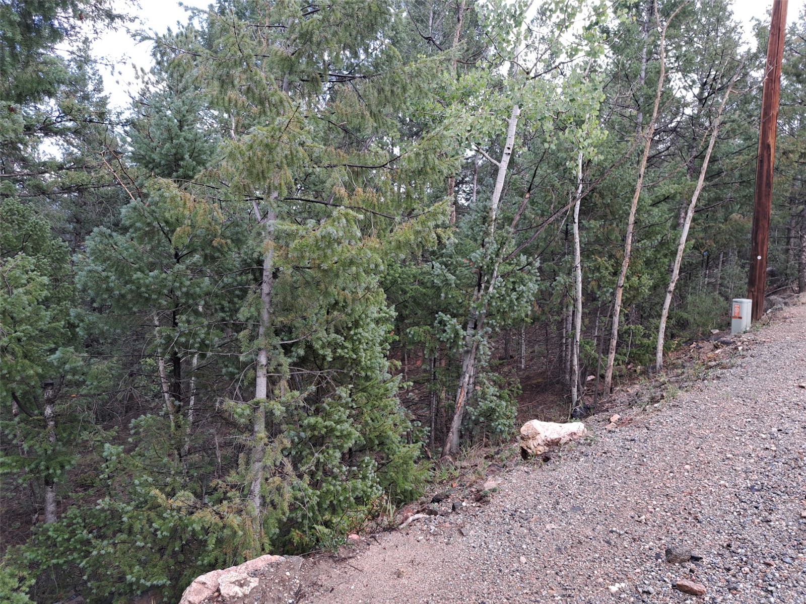 360 Hi Meadow Drive Bailey CO 80421