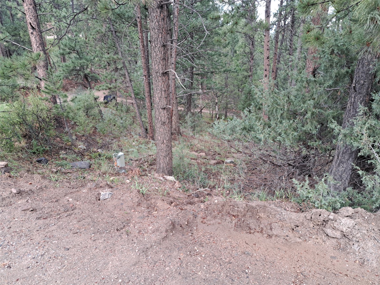 360 Hi Meadow Drive Bailey CO 80421