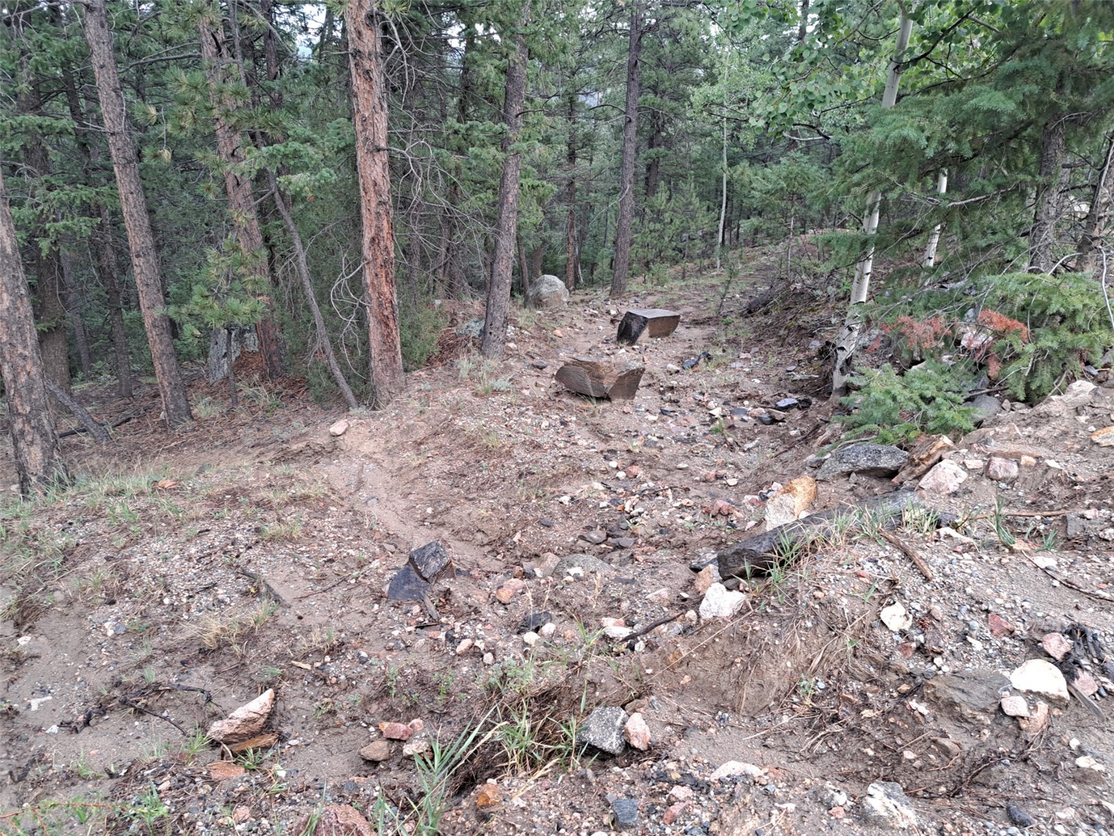 360 Hi Meadow Drive Bailey CO 80421