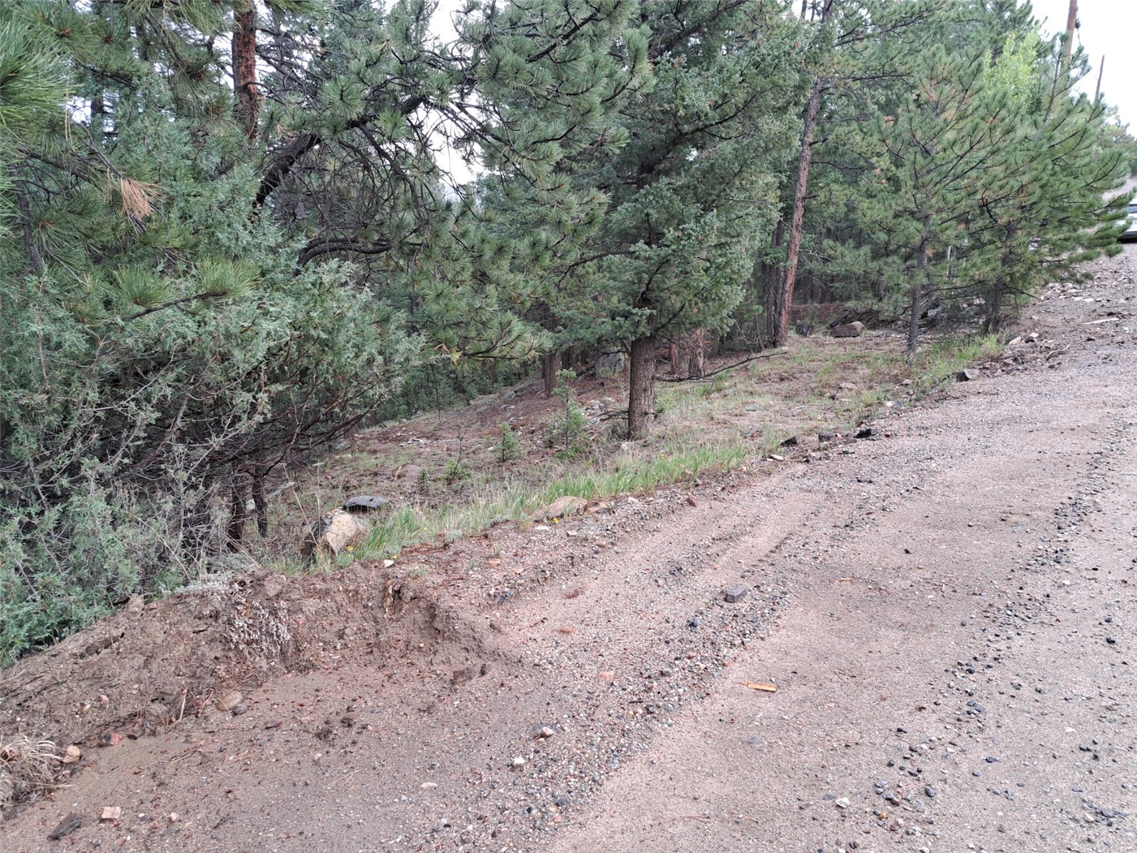 360 Hi Meadow Drive Bailey CO 80421