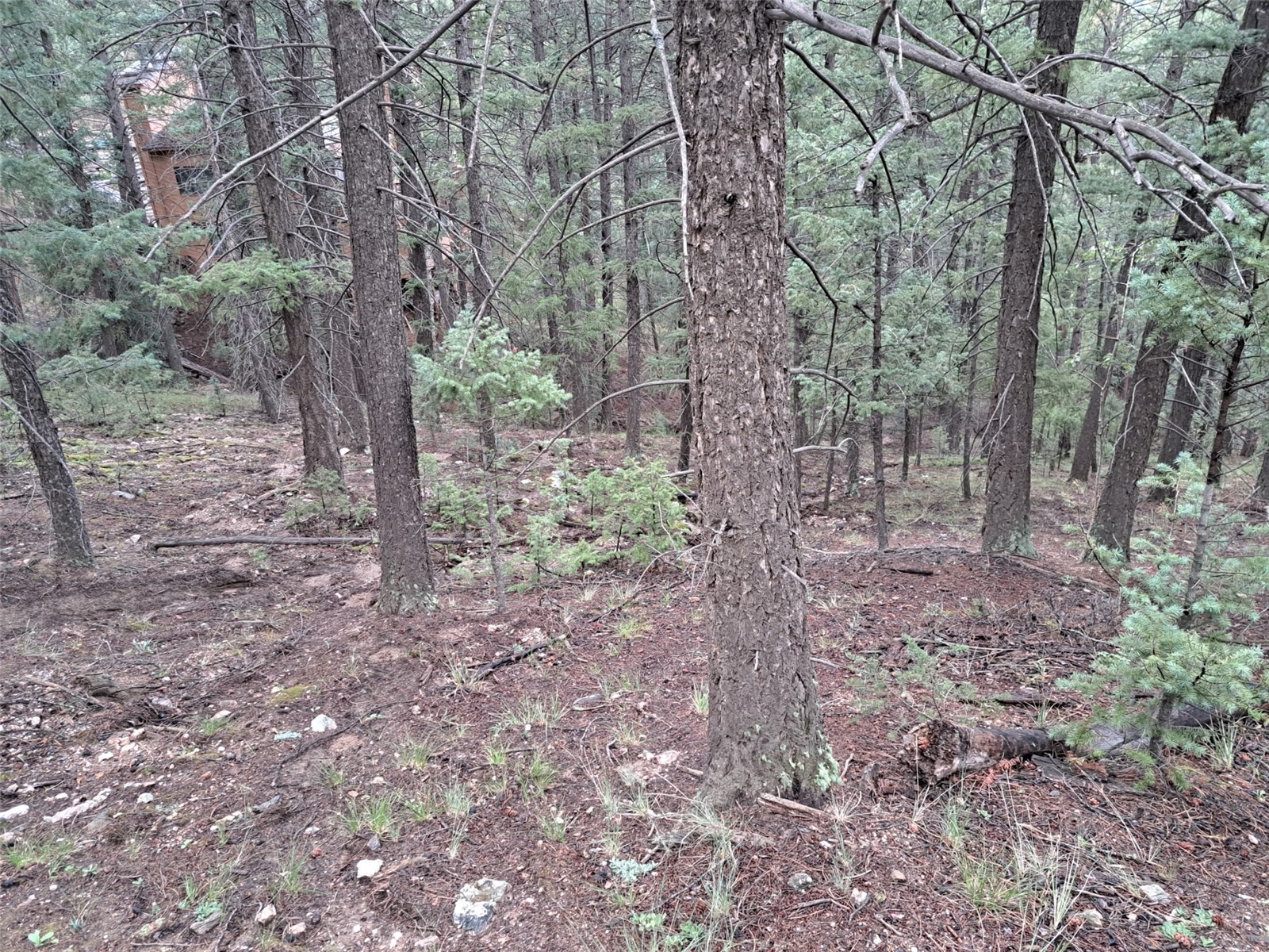 360 Hi Meadow Drive Bailey CO 80421