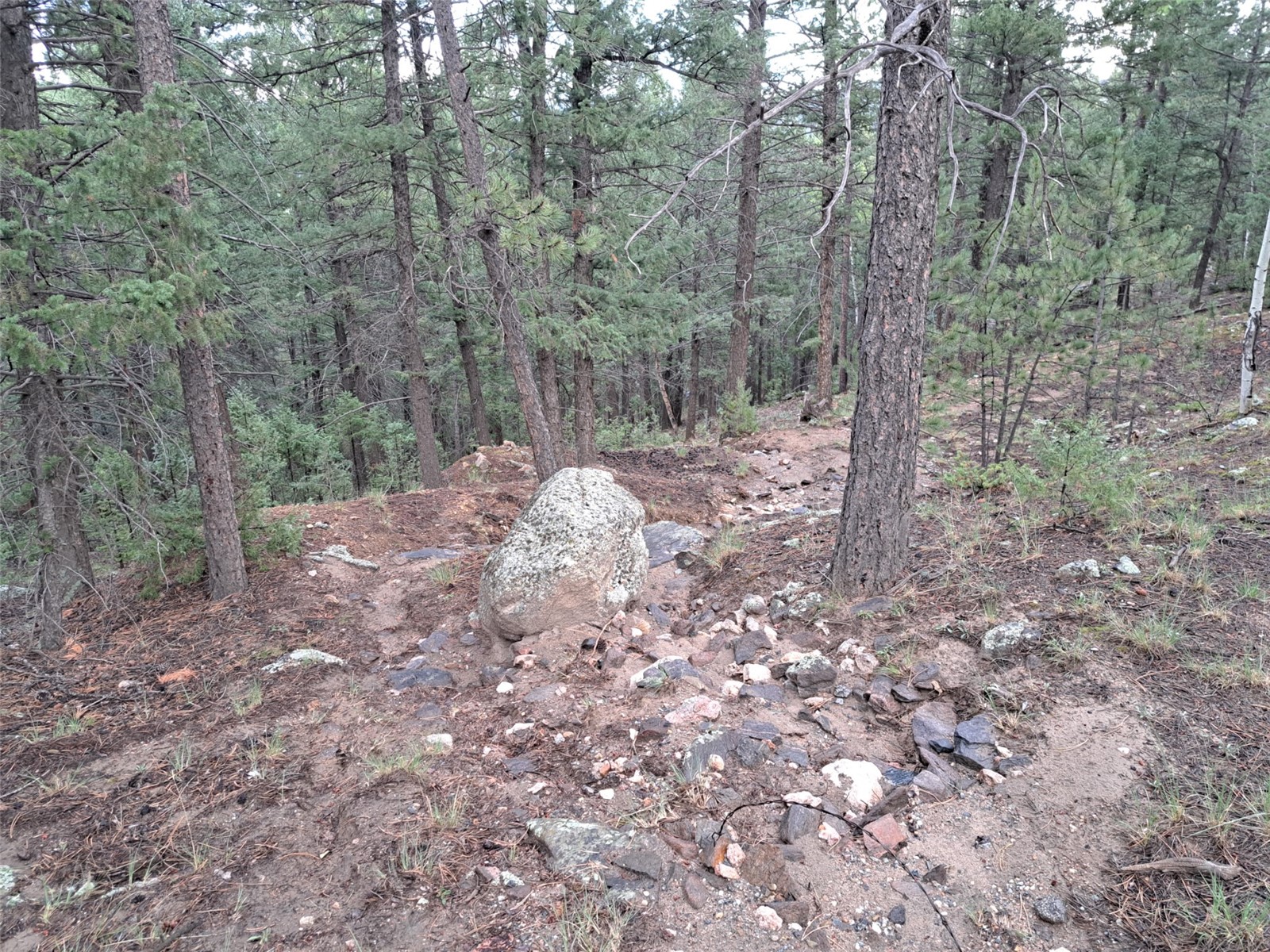 360 Hi Meadow Drive Bailey CO 80421