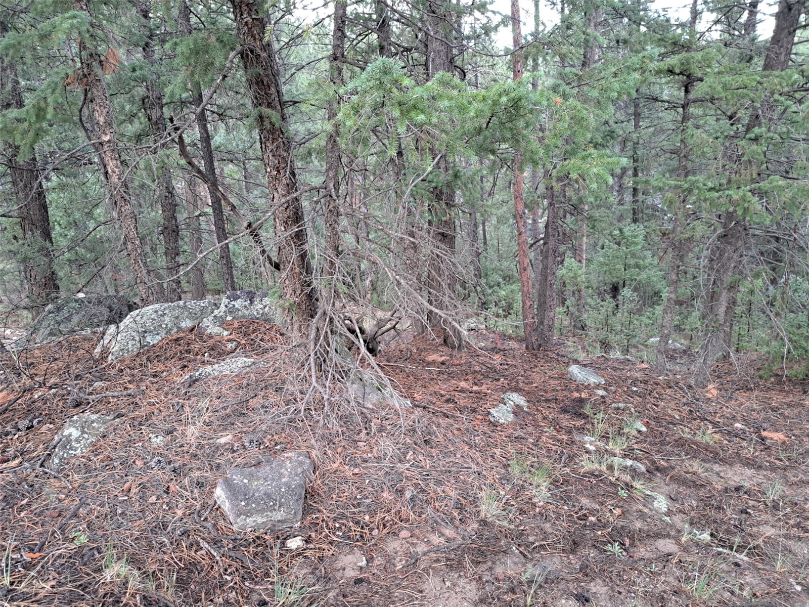 360 Hi Meadow Drive Bailey CO 80421