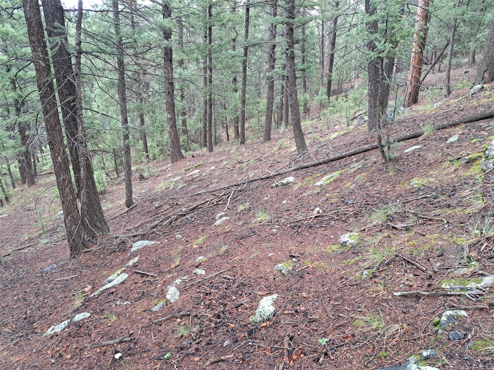360 Hi Meadow Drive Bailey CO 80421