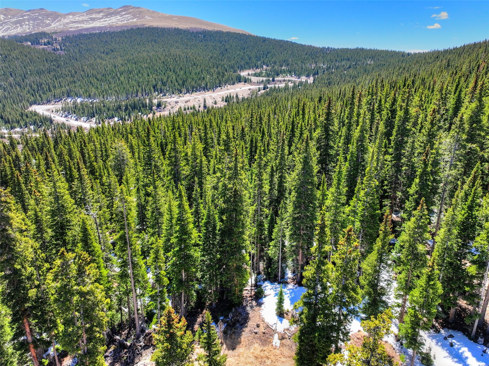 31 Kimmes Lane Breckenridge CO 80424