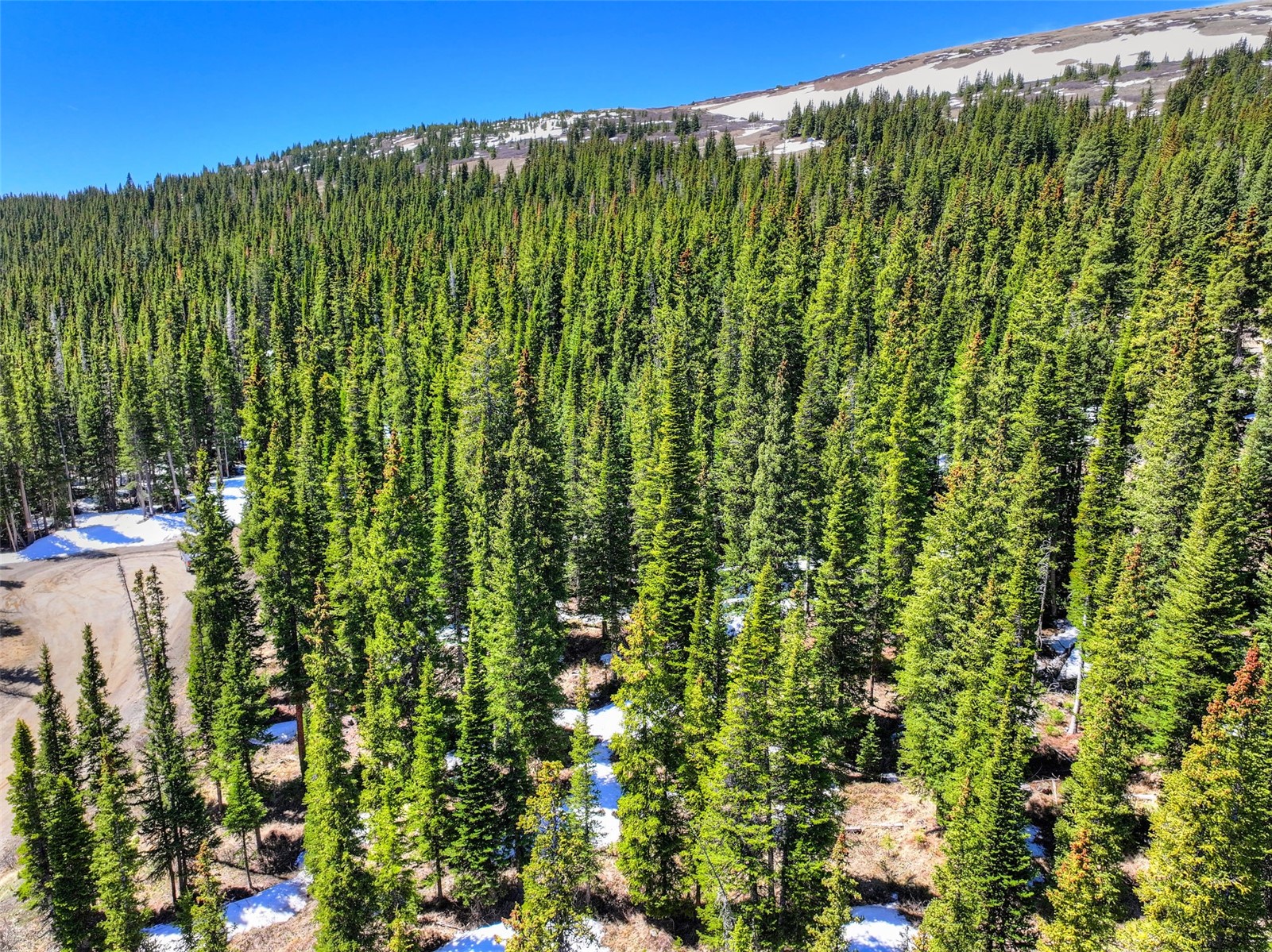 31 Kimmes Lane Breckenridge CO 80424