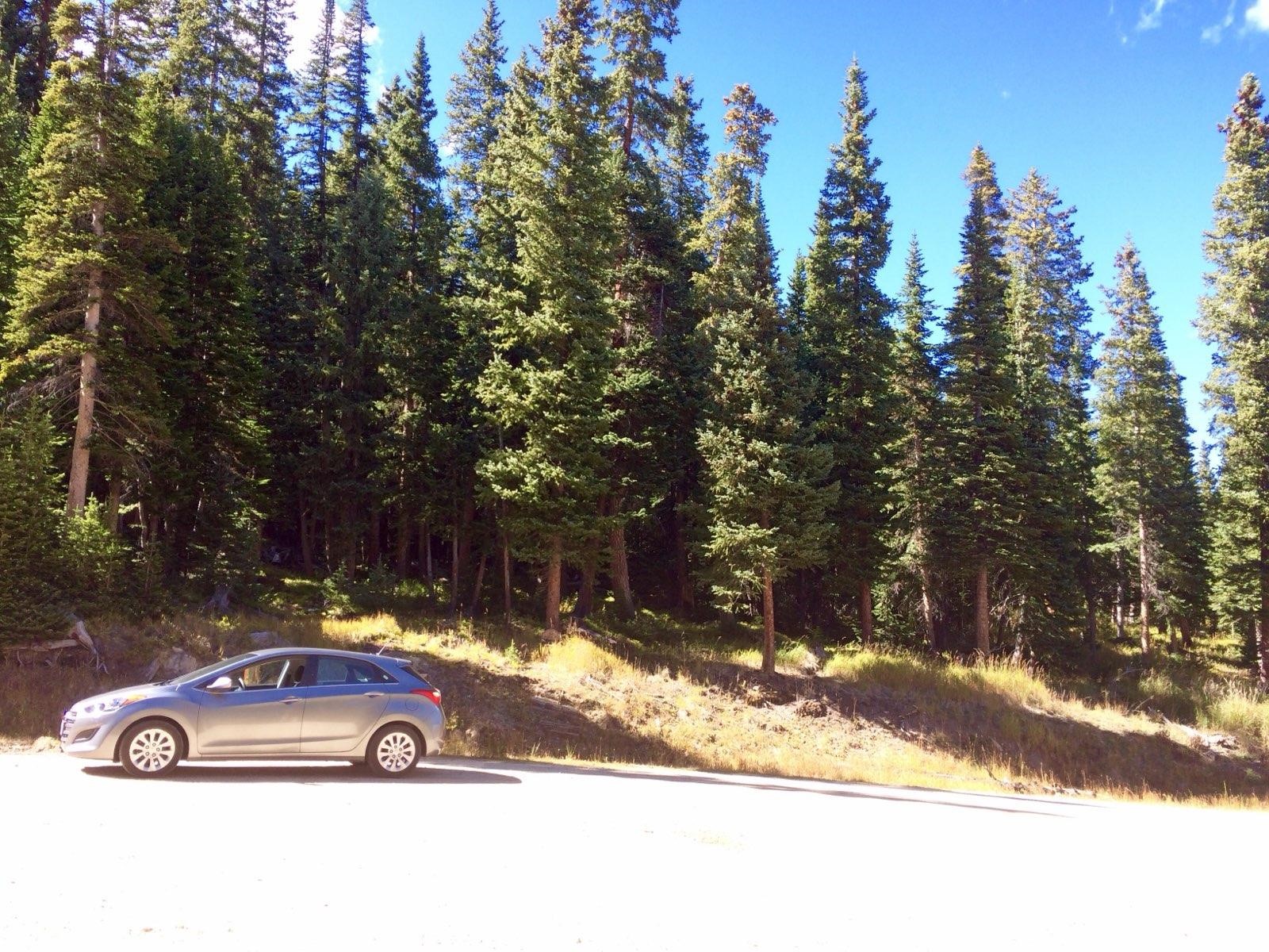 31 Kimmes Lane Breckenridge CO 80424
