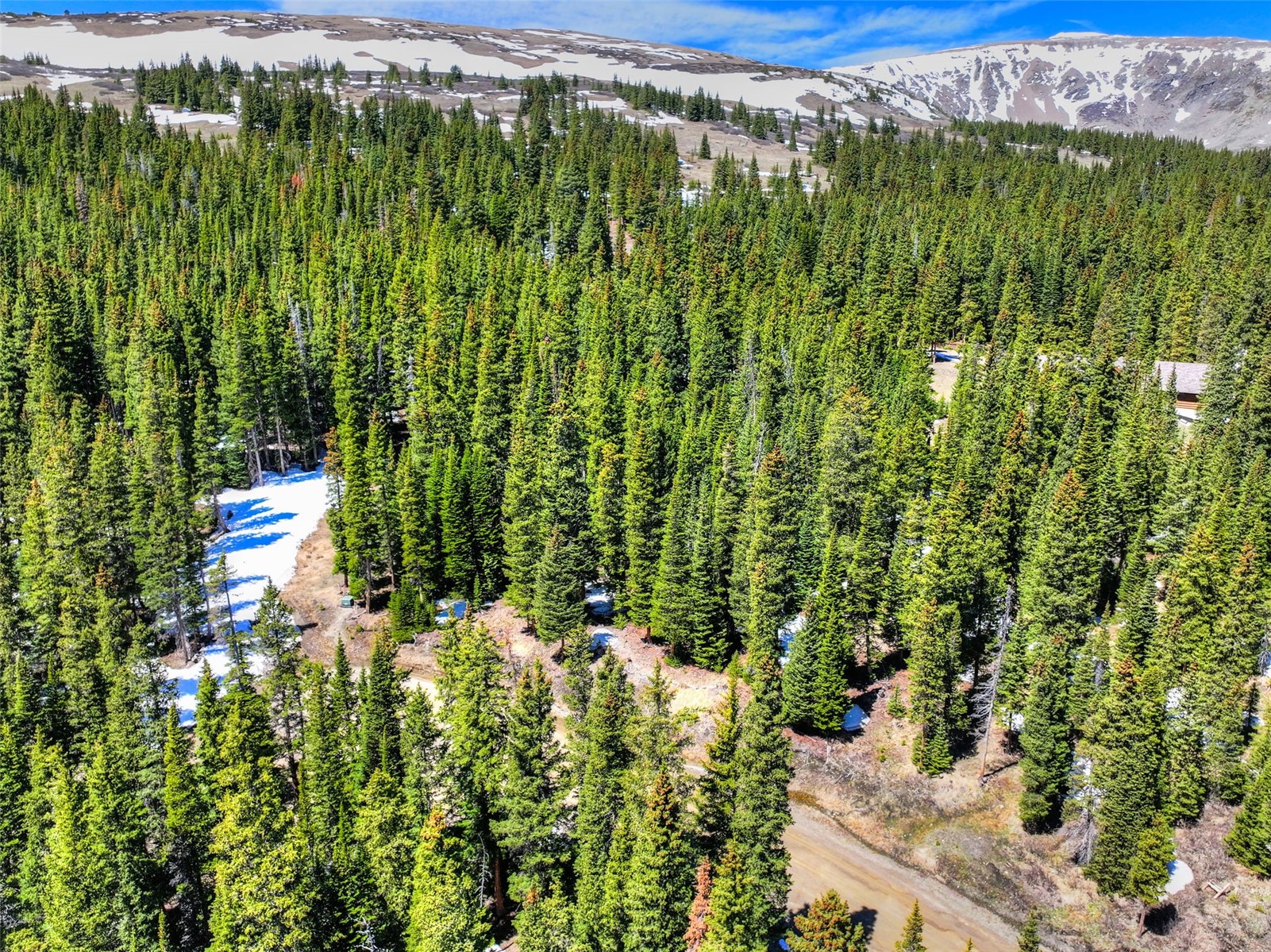 31 Kimmes Lane Breckenridge CO 80424