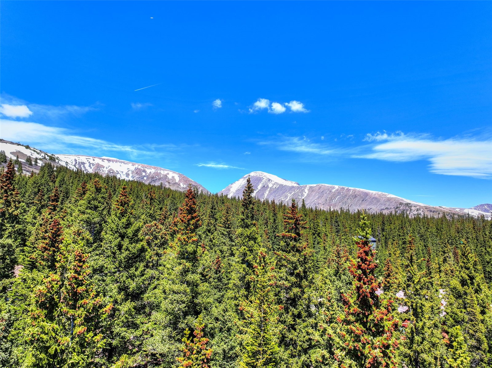 31 Kimmes Lane Breckenridge CO 80424