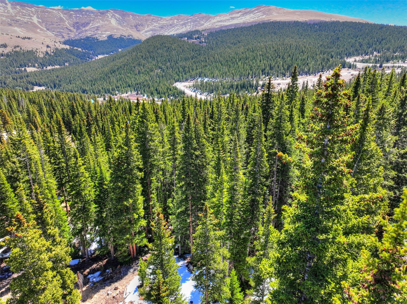 31 Kimmes Lane Breckenridge CO 80424