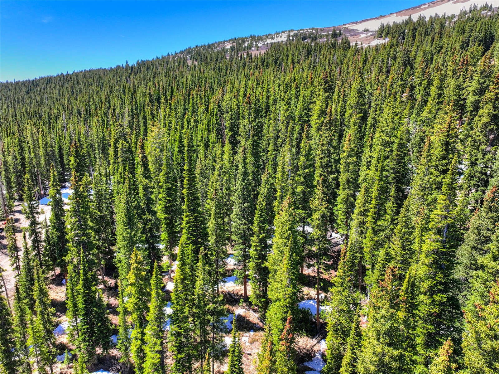 31 Kimmes Lane Breckenridge CO 80424