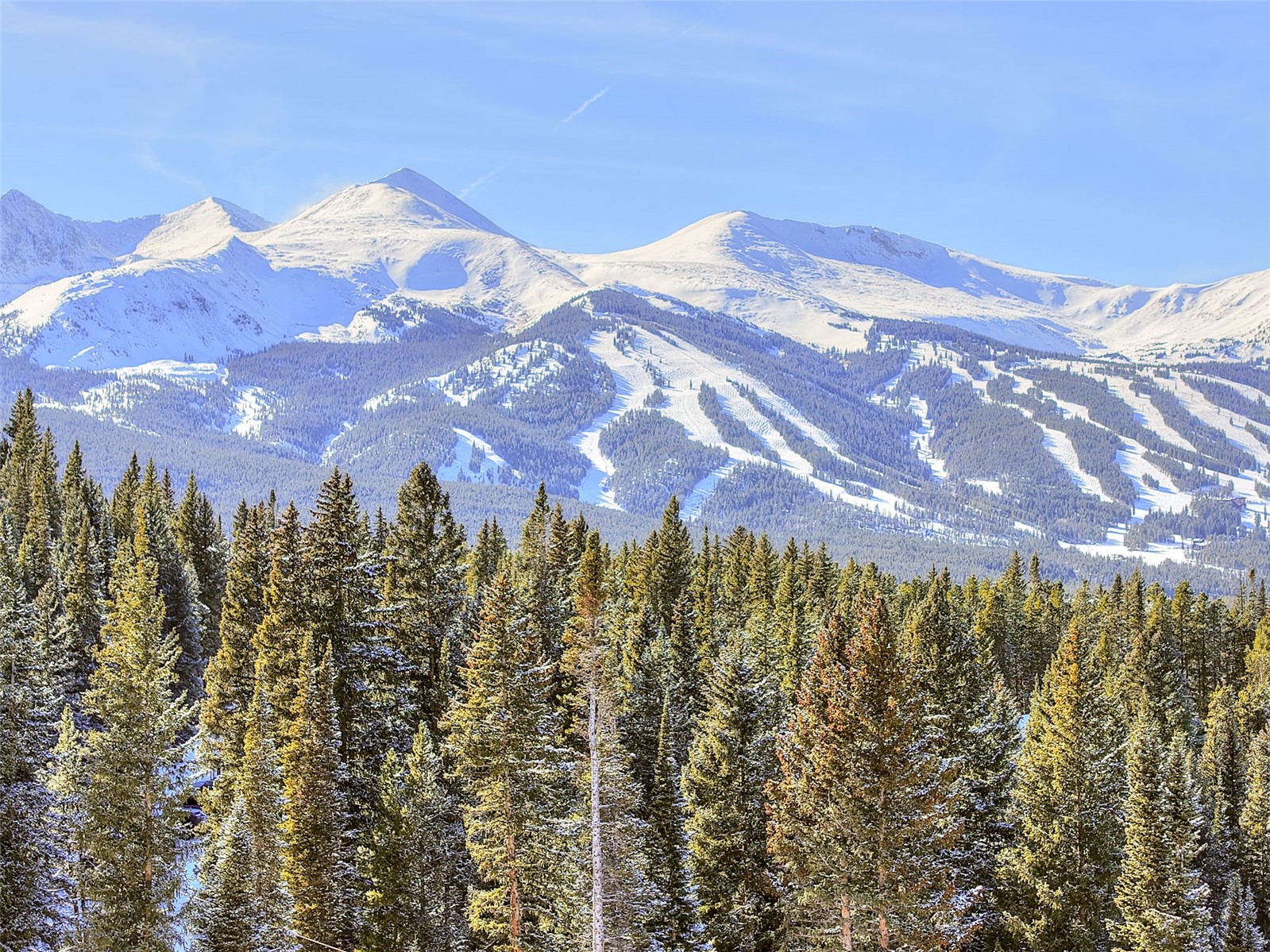 3362 Boreas Pass Road Breckenridge CO 80424