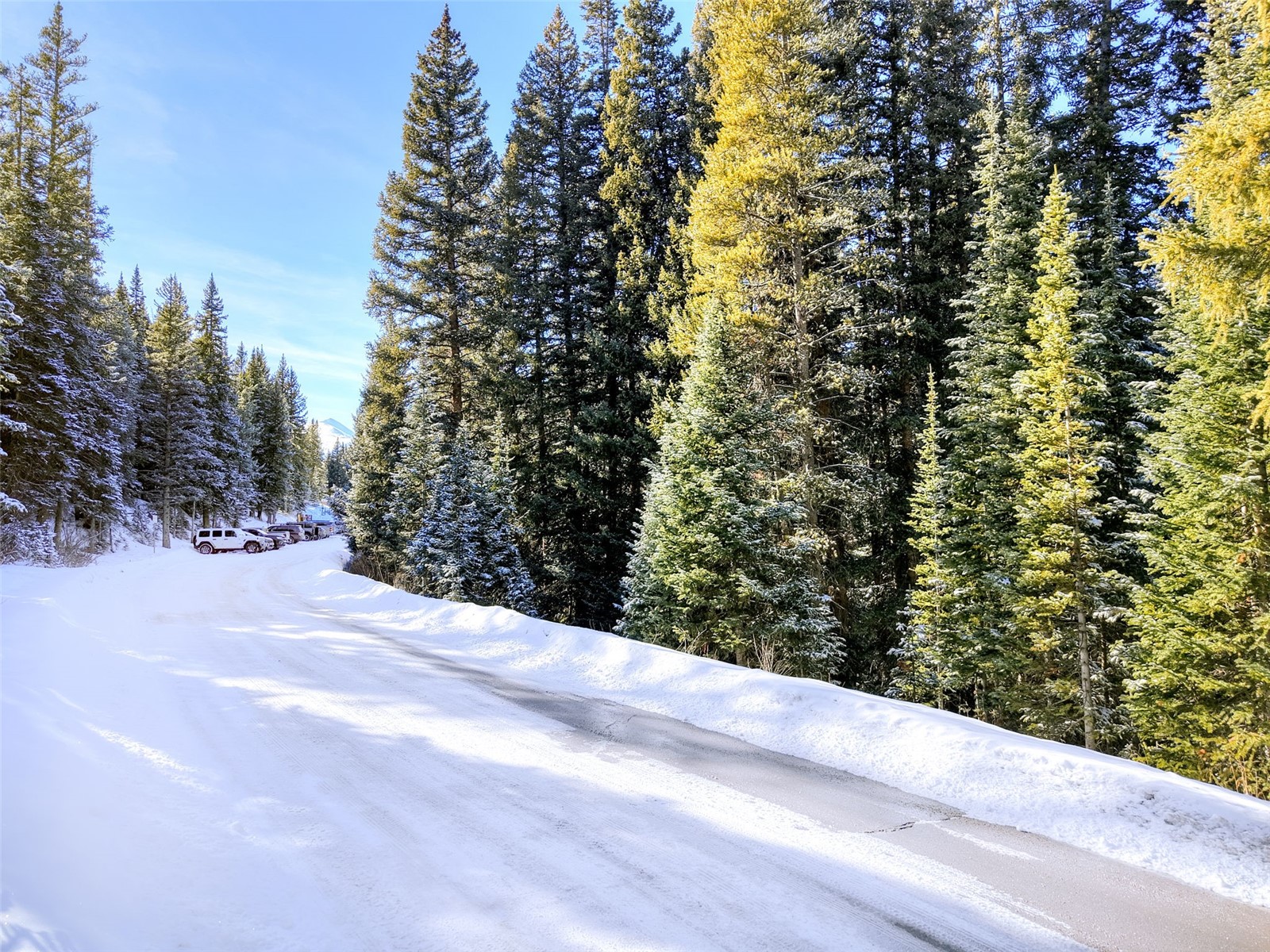 3362 Boreas Pass Road Breckenridge CO 80424