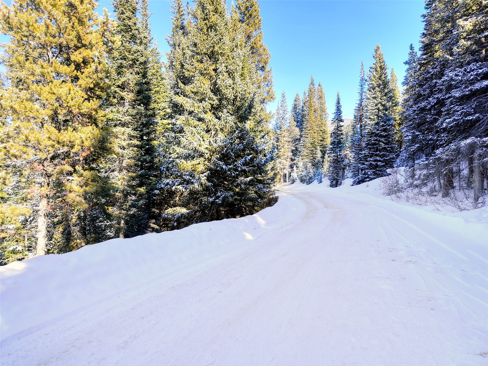 3362 Boreas Pass Road Breckenridge CO 80424
