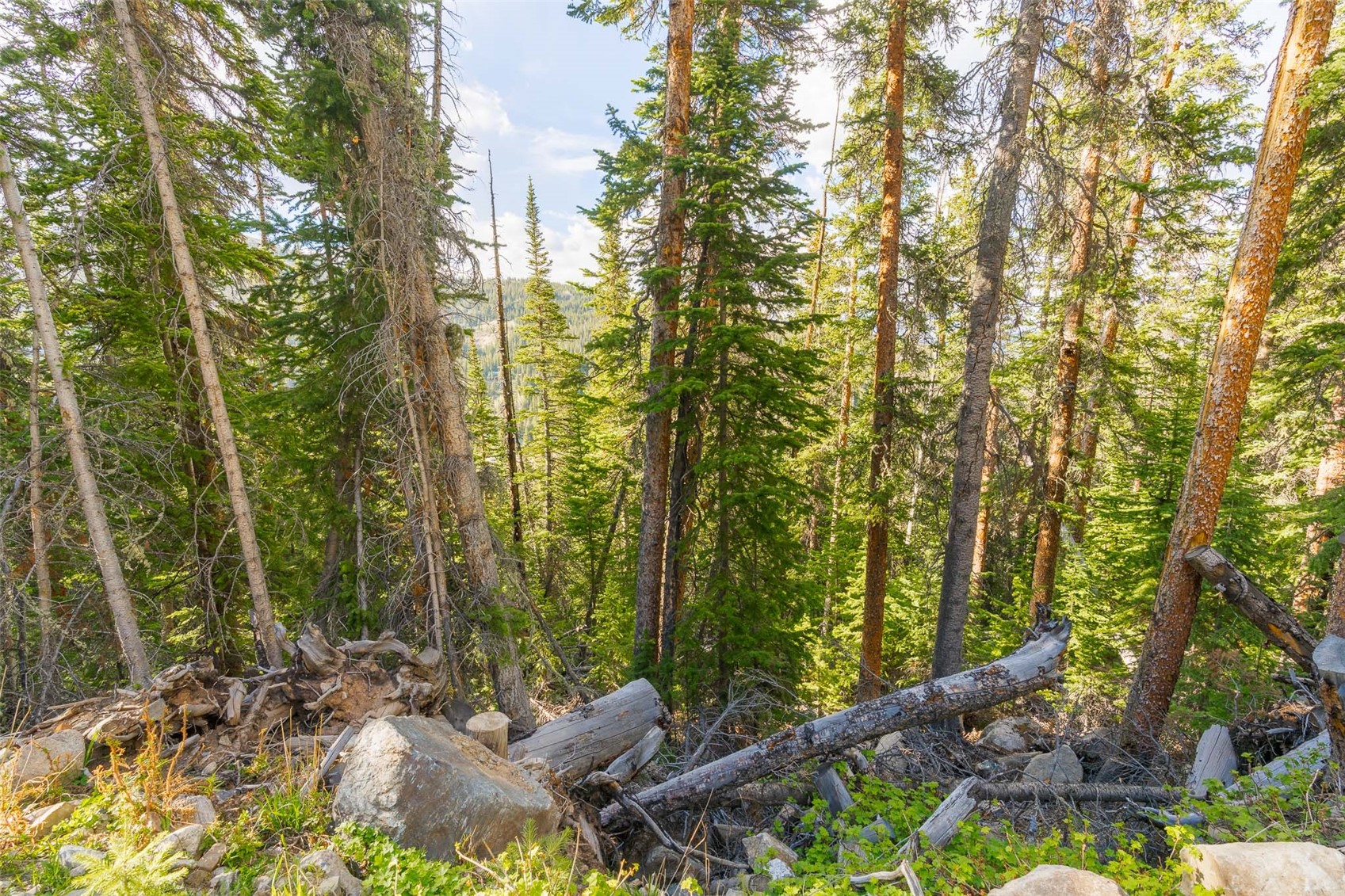 450 Quandary View Drive Breckenridge CO 80424