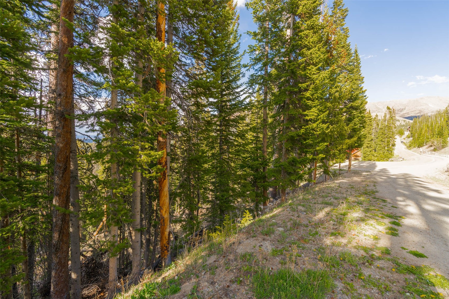 450 Quandary View Drive Breckenridge CO 80424