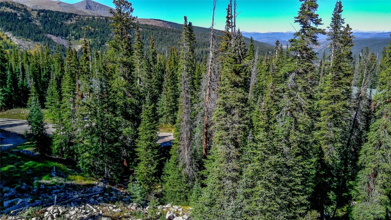 501 Kimmes Lane Breckenridge CO 80424