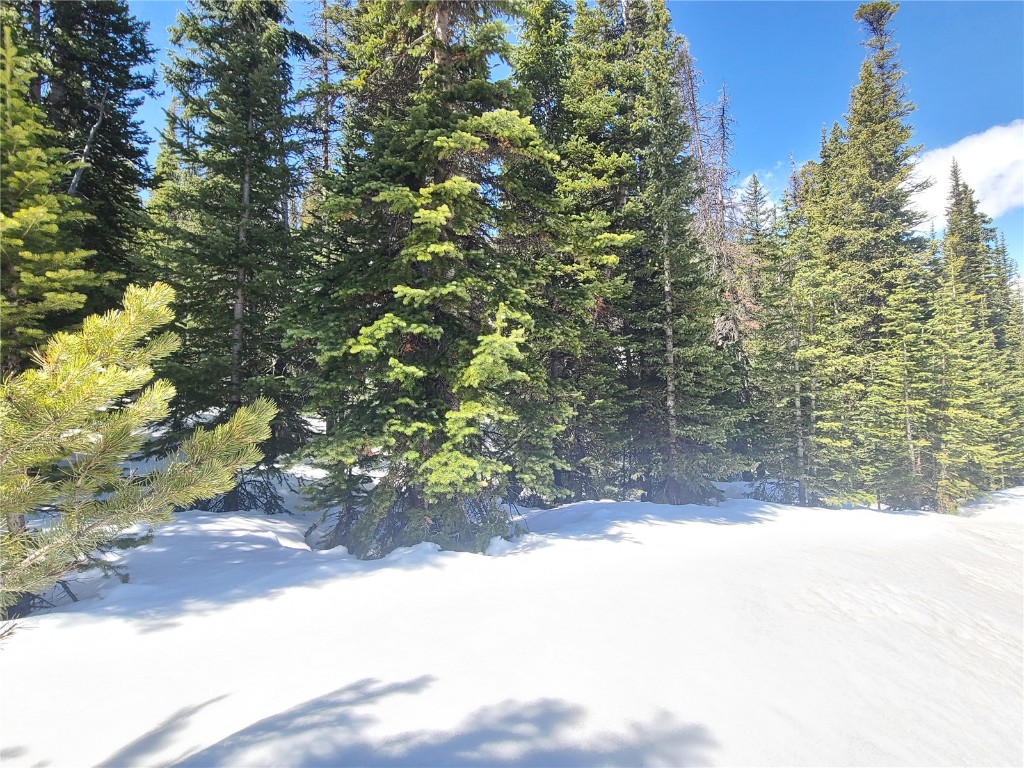 501 Kimmes Lane Breckenridge CO 80424