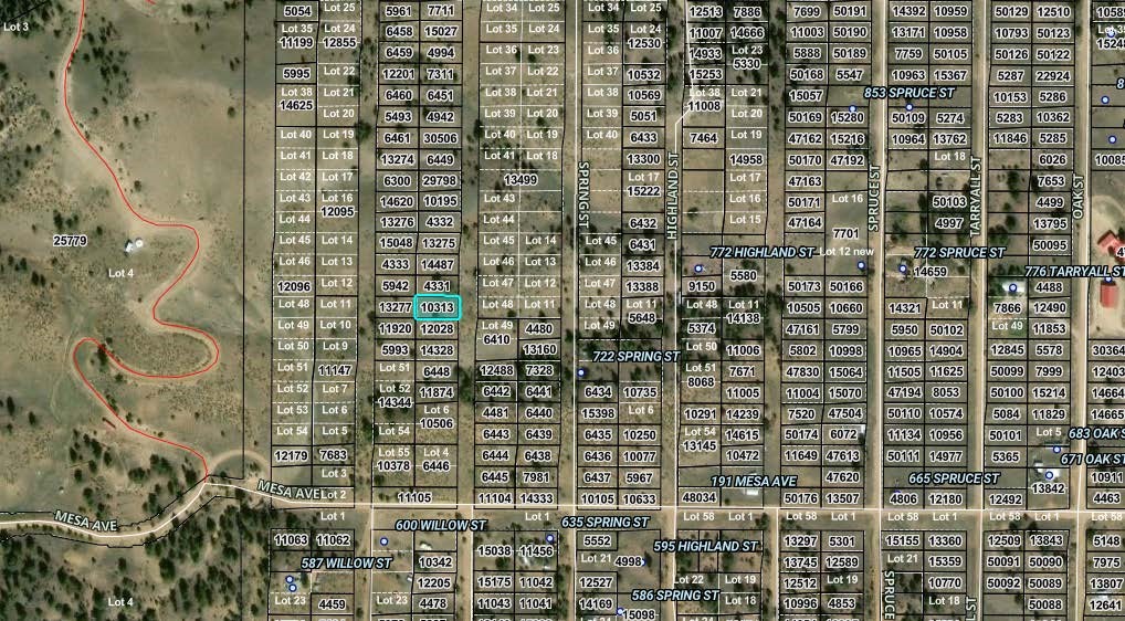 0000 Birch Street Hartsel CO 80449