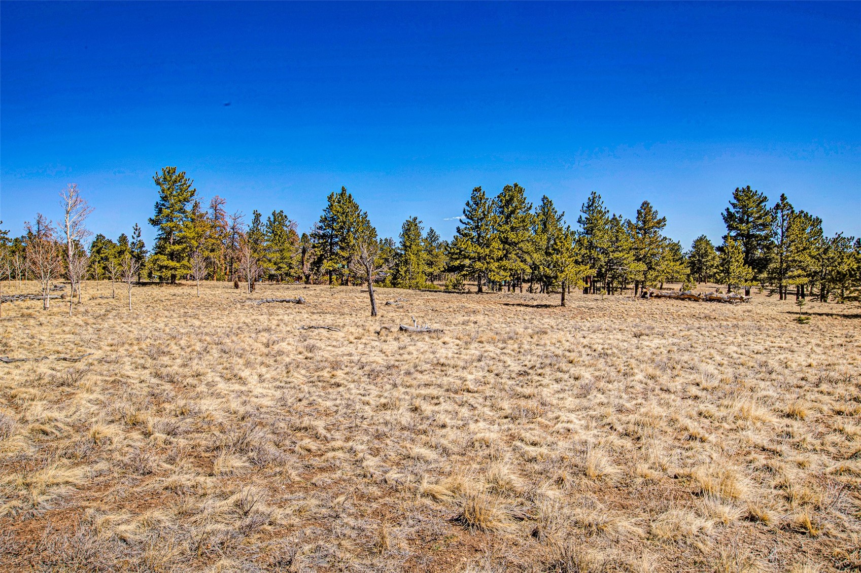 2226 Pitchfork Road Hartsel CO 80449