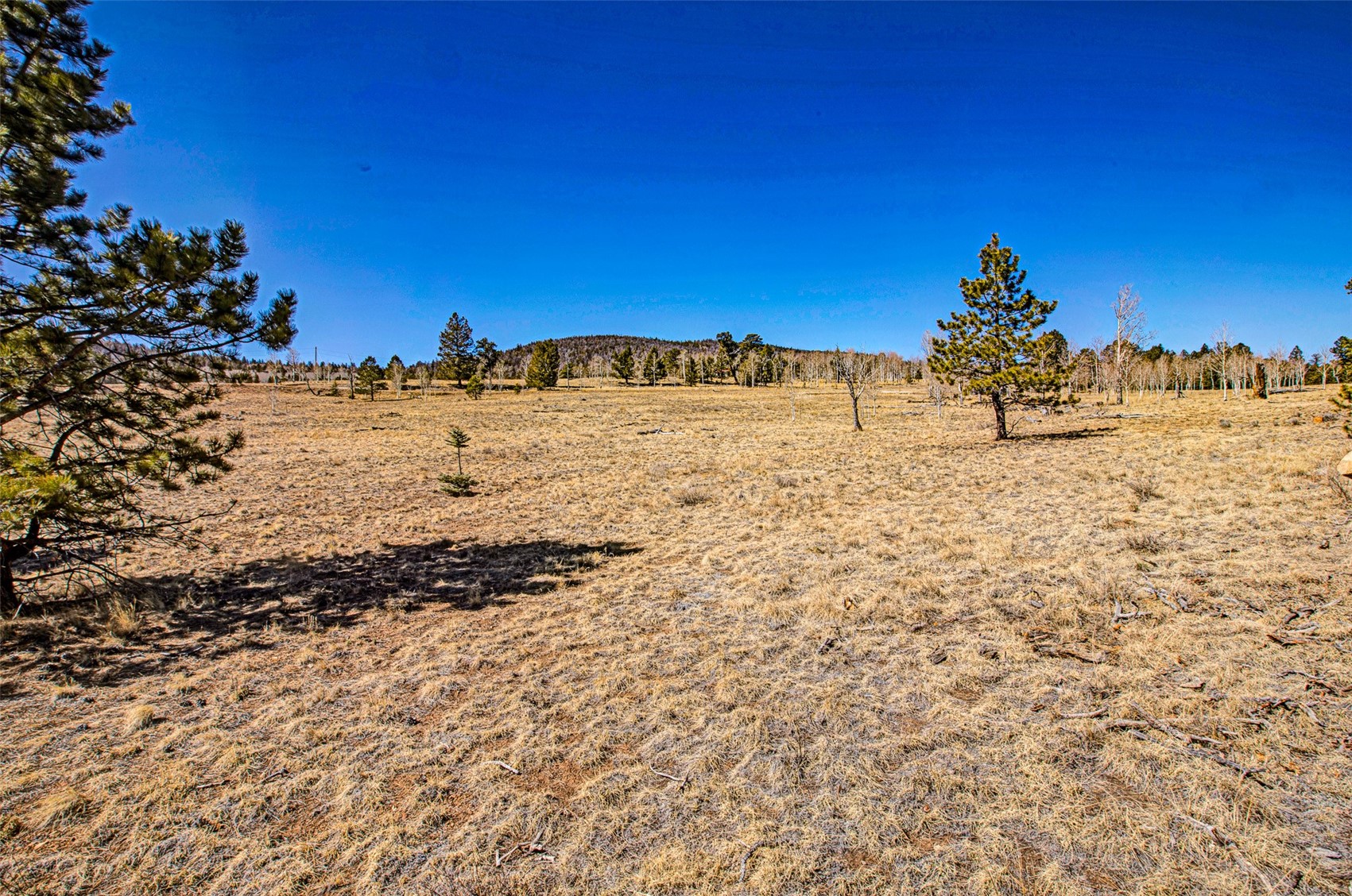2226 Pitchfork Road Hartsel CO 80449