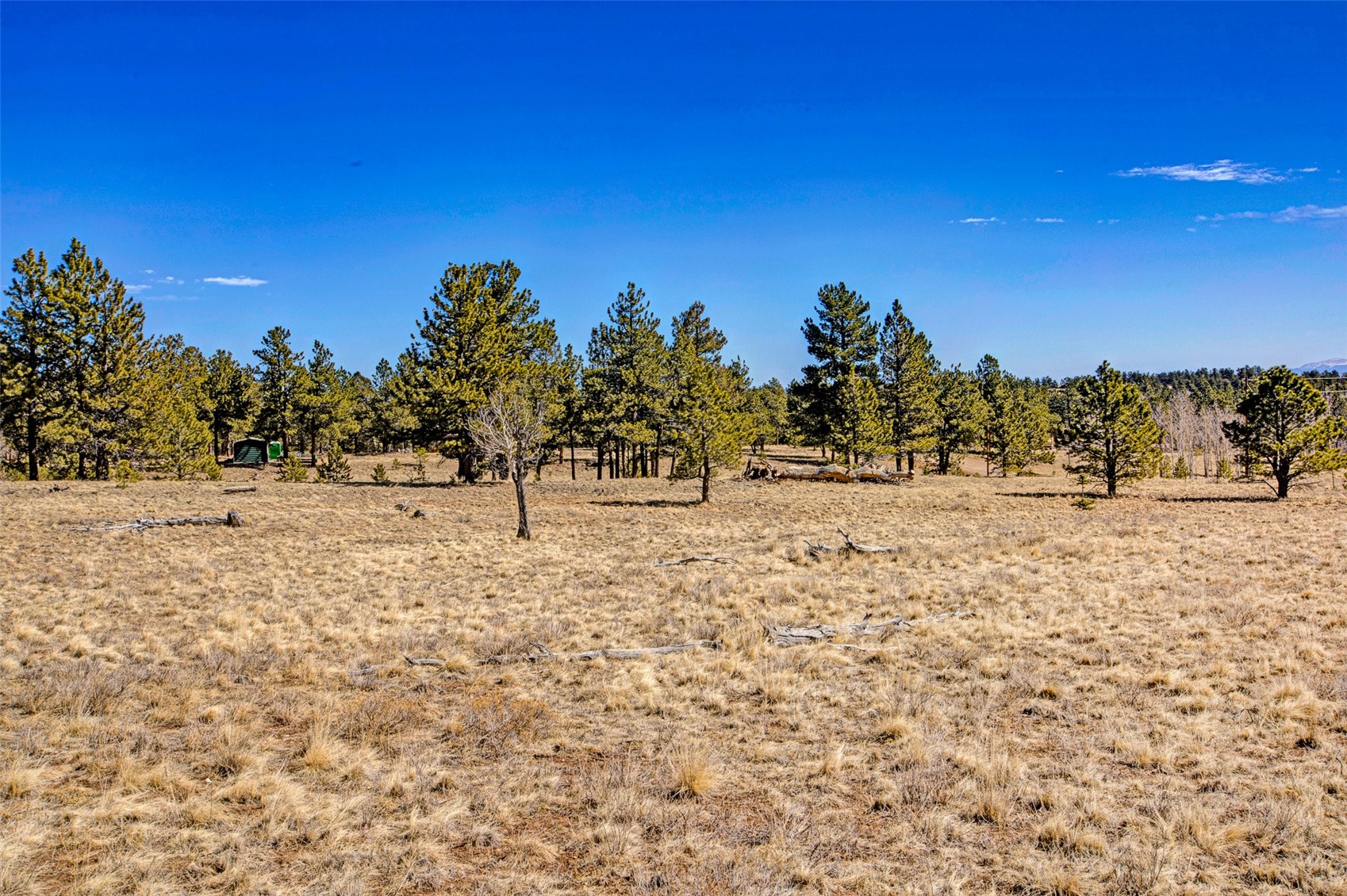 2226 Pitchfork Road Hartsel CO 80449