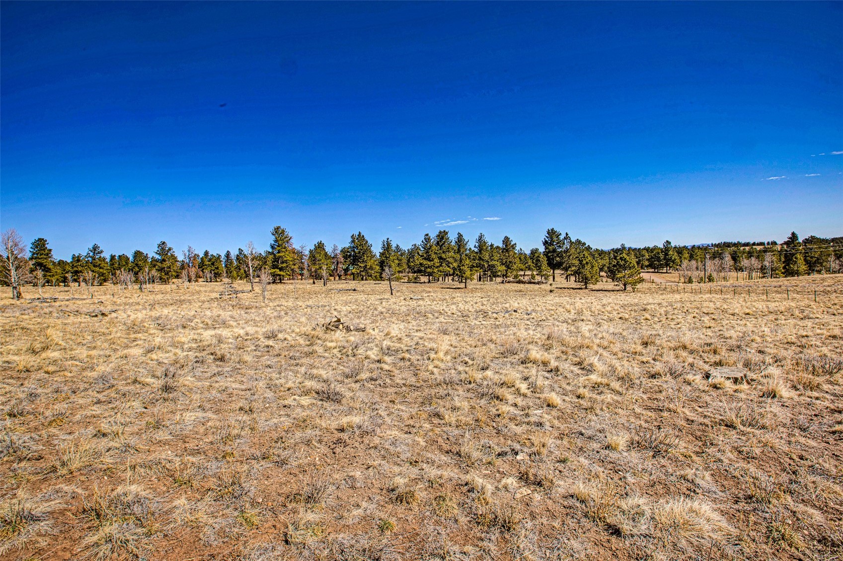 2226 Pitchfork Road Hartsel CO 80449