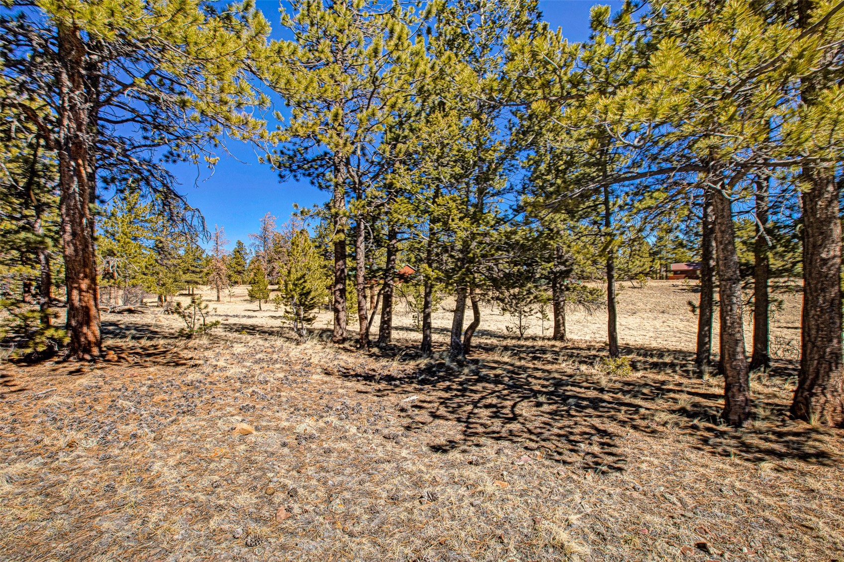 2226 Pitchfork Road Hartsel CO 80449