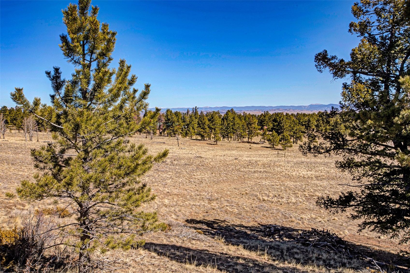 2226 Pitchfork Road Hartsel CO 80449