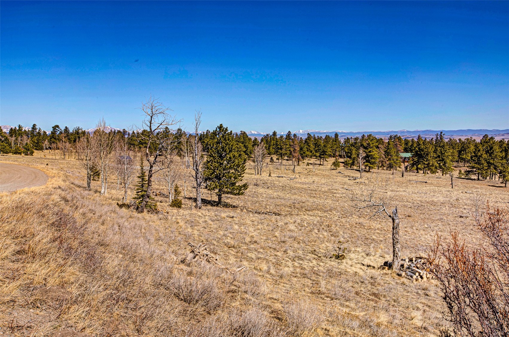 2226 Pitchfork Road Hartsel CO 80449
