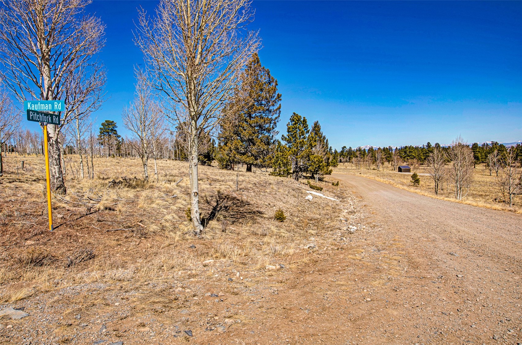 2226 Pitchfork Road Hartsel CO 80449