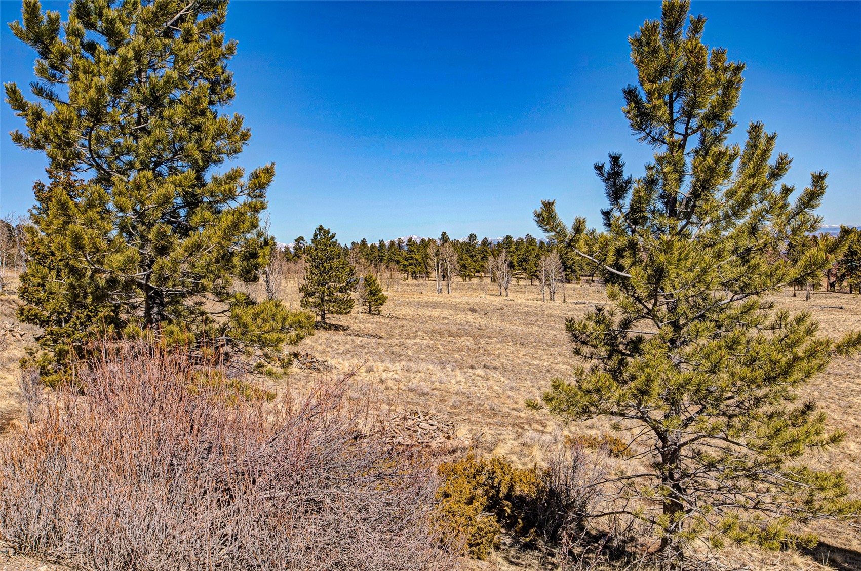 2226 Pitchfork Road Hartsel CO 80449