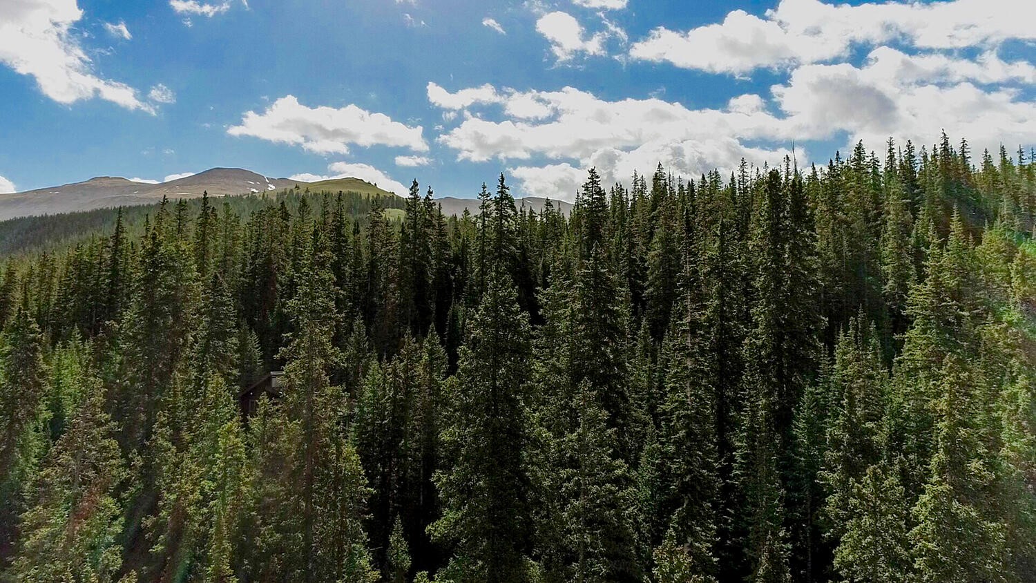156 Cr 674 Breckenridge CO 80424