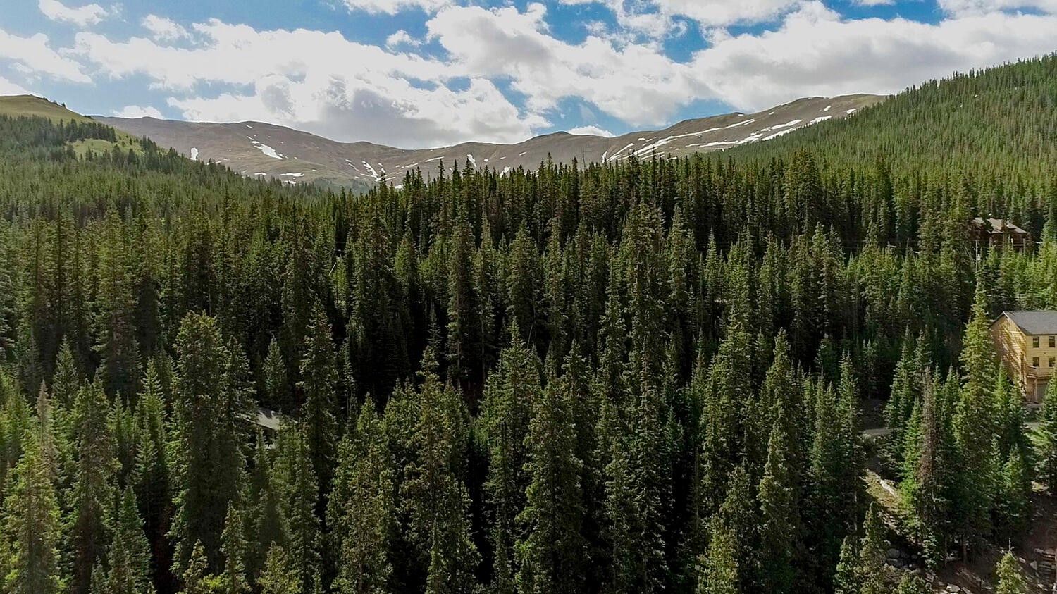 156 Cr 674 Breckenridge CO 80424