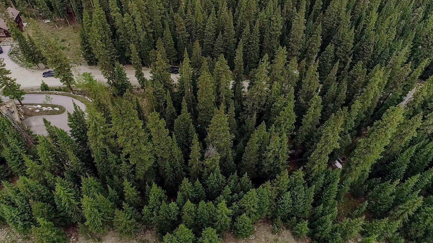 156 Cr 674 Breckenridge CO 80424