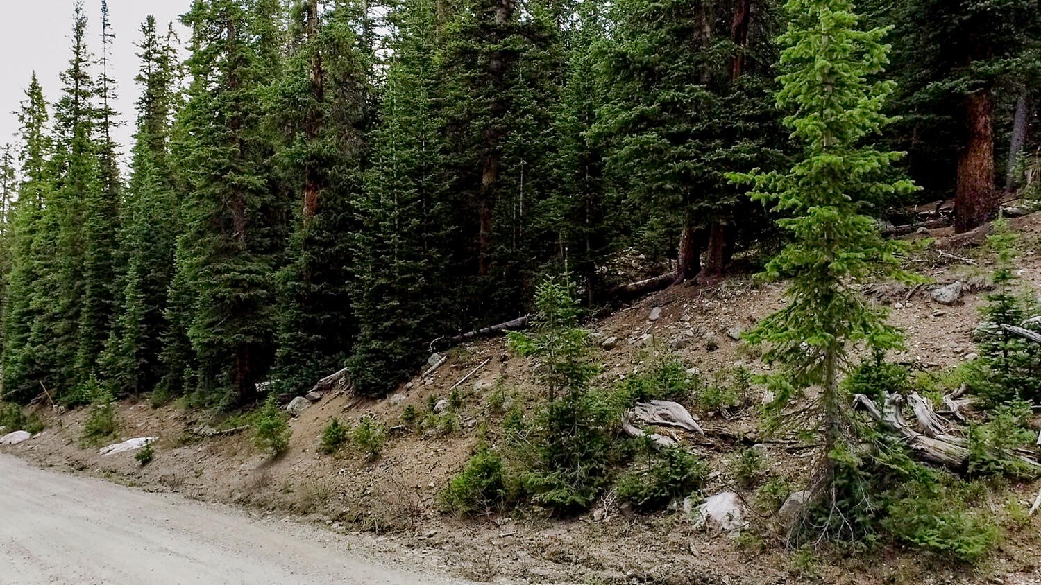 156 Cr 674 Breckenridge CO 80424