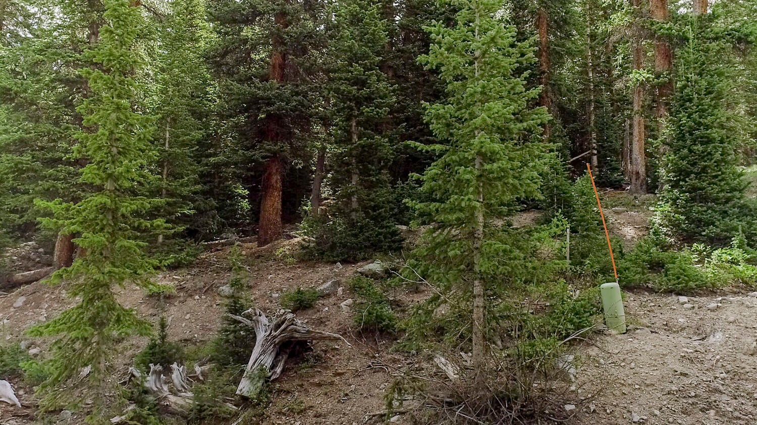 156 Cr 674 Breckenridge CO 80424