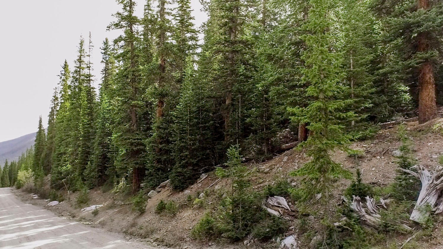 156 Cr 674 Breckenridge CO 80424