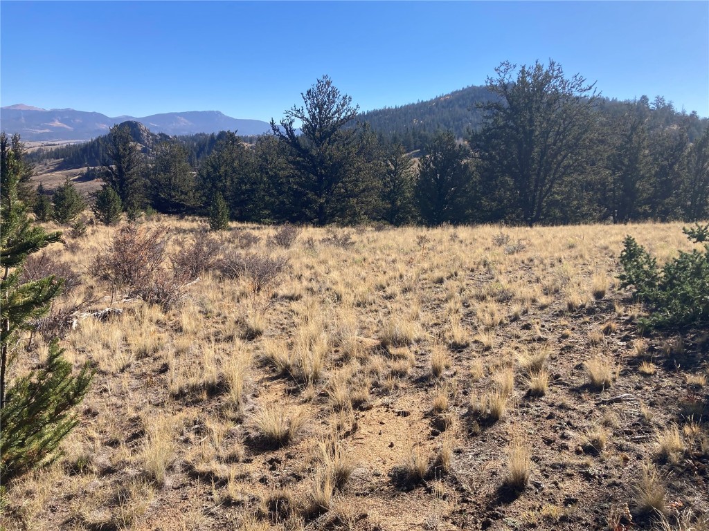 99 Hackney Lane Como CO 80432
