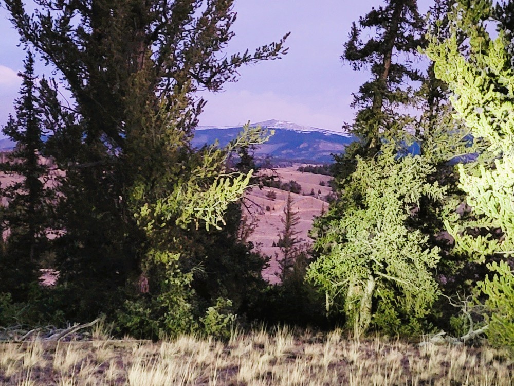 99 Hackney Lane Como CO 80432