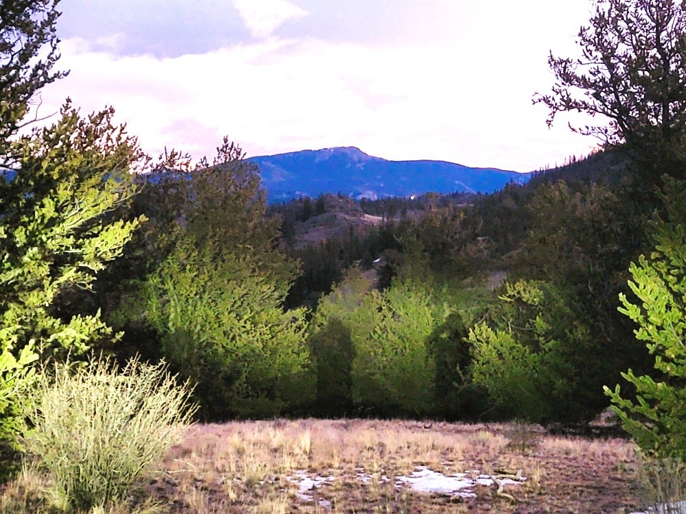 99 Hackney Lane Como CO 80432